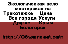 Экологическая вело мастерская на Трекотажке. › Цена ­ 10 - Все города Услуги » Другие   . Крым,Белогорск